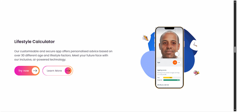 Lifestyle Calculator