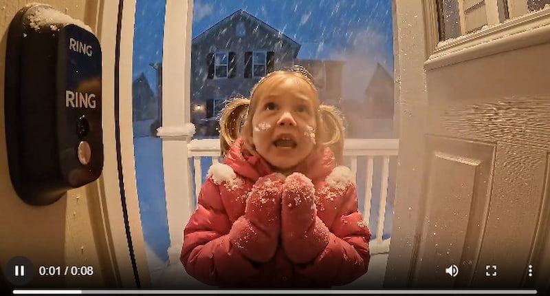 Example Two Of Text to Video Prompts