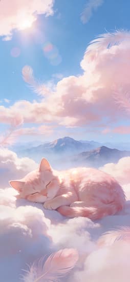 Cute Pink Kitten Wallpaper