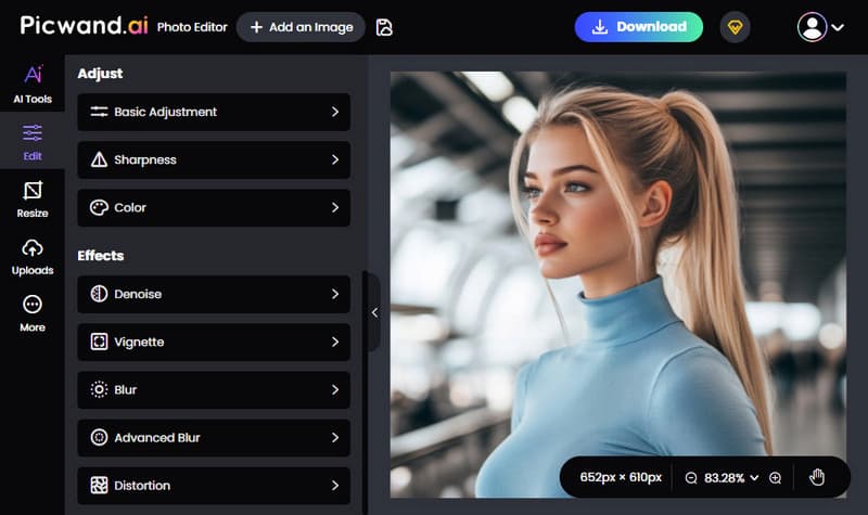 Picwand Ai Basic Editing Tools