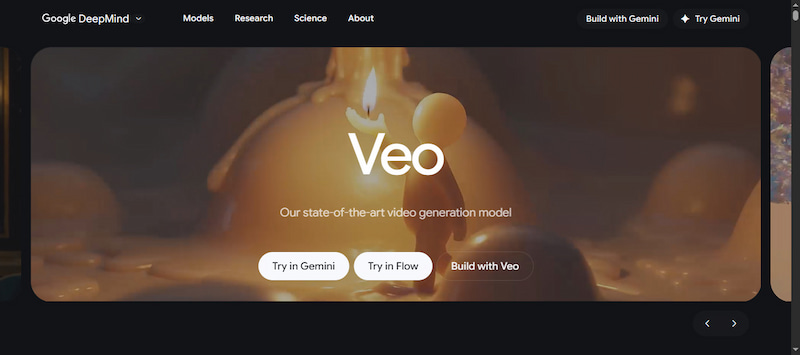 Veo Comprehensive Analysis