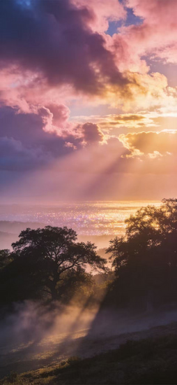 Aipixwall Sundown