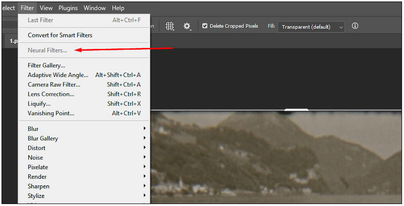 Access Photo Restoration
