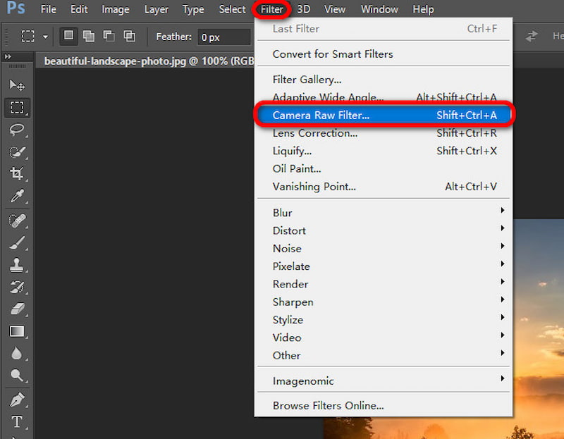 Photoshop Camera Raw Filter