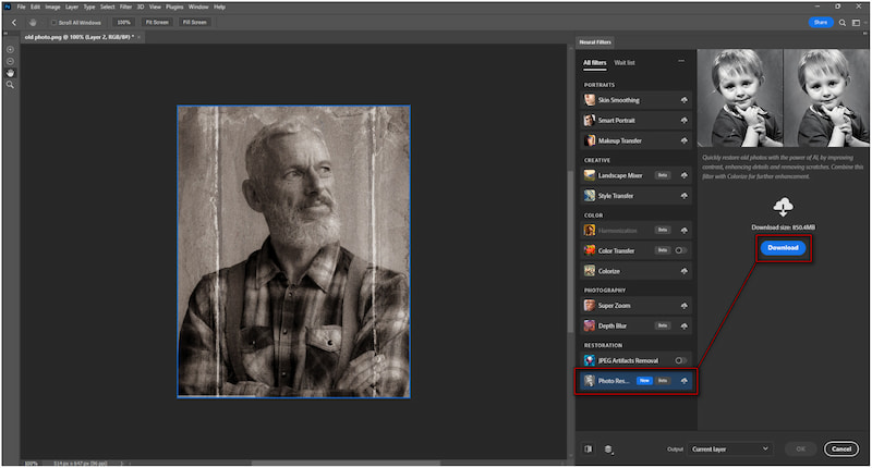 Download Photo Restoration