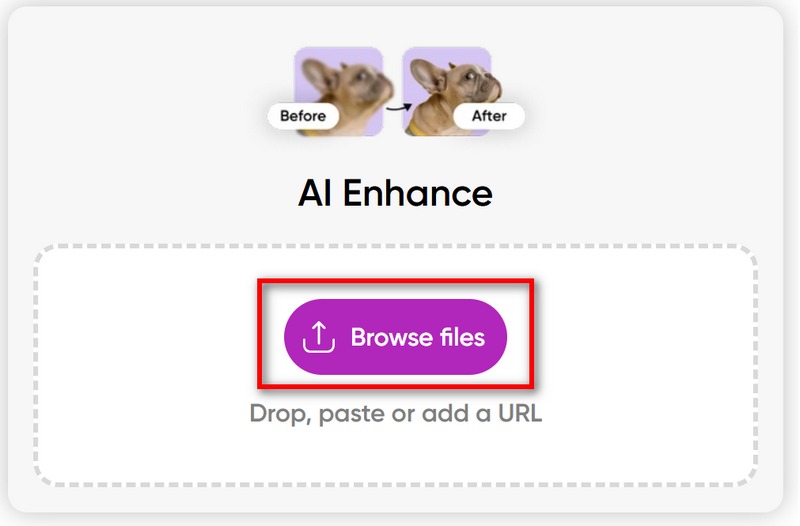 Picsart Browse Files