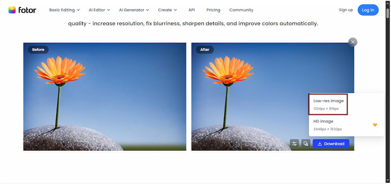 Download In Standard Quality