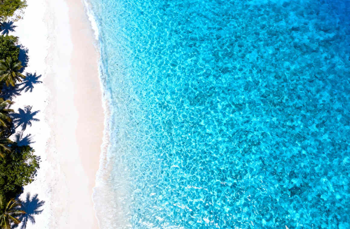 Pika Ai Crystal Clear Water