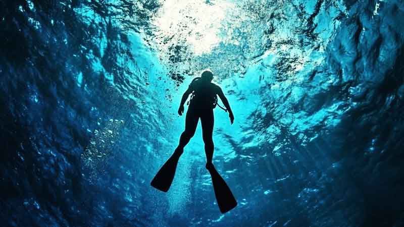 Professional Production After