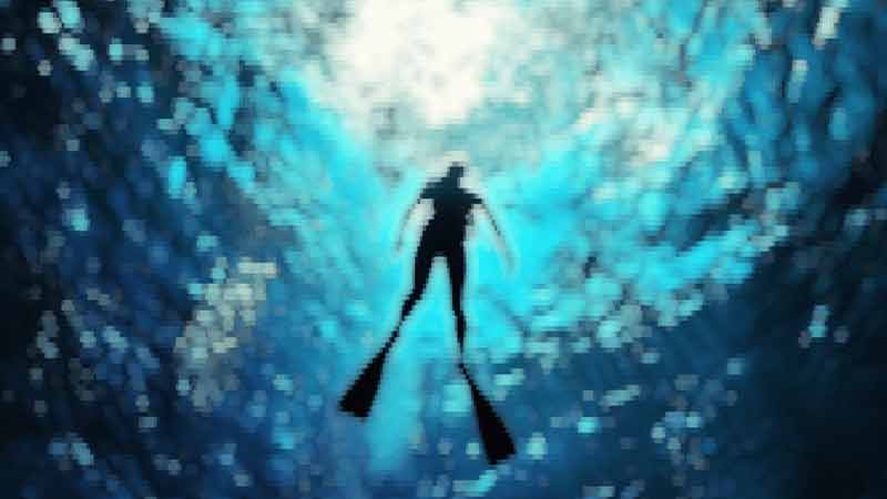 Professional Production Before