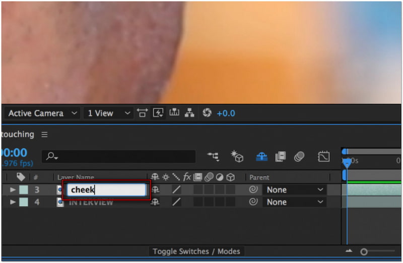 Rename Duplicated Layer
