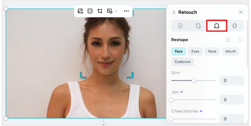 Adjust The Reshape Face