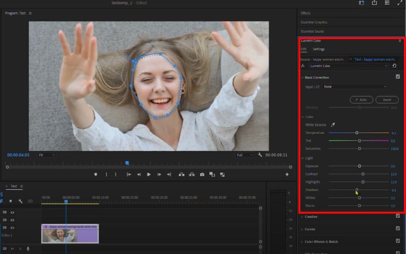 Adjust Basic Correction