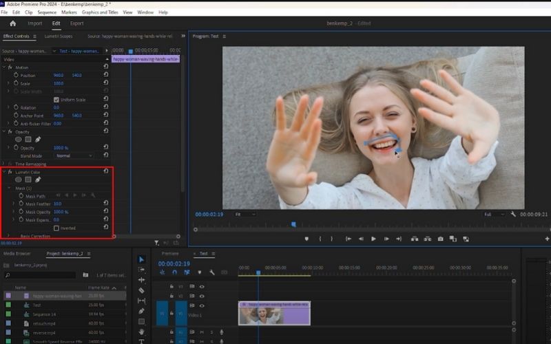 Adjust Hue Saturation And Mask