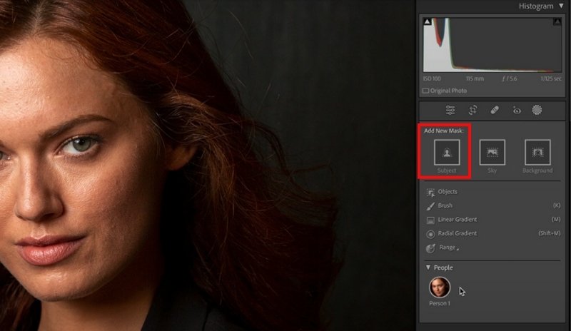 Choose Subject or Brush