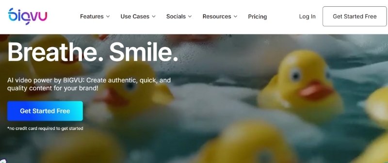 Bigvu Video Filter App