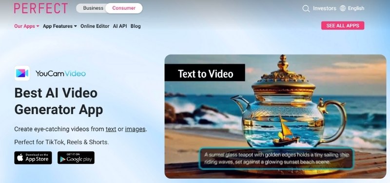 Youcam Video Filter App