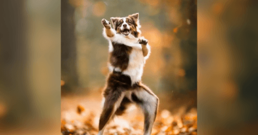 AI Twerk Video Generator