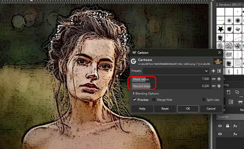 Gimp Adjust