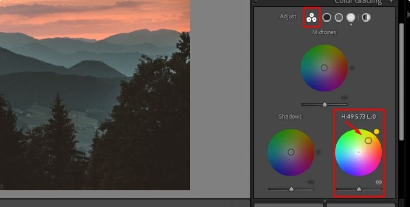 Adjunct The Color Wheels