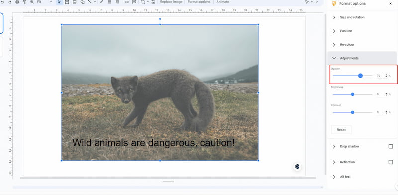 Adjust Opacity