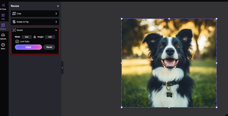 Adjust Width And Height