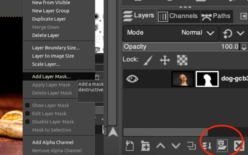 Choose Add Layer Mask
