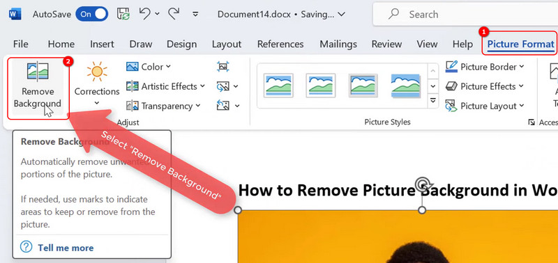 Choose Picture Format