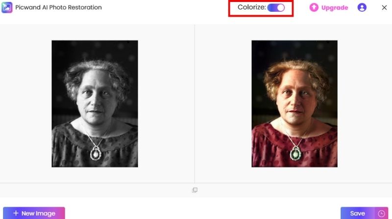 Colorize The Photo
