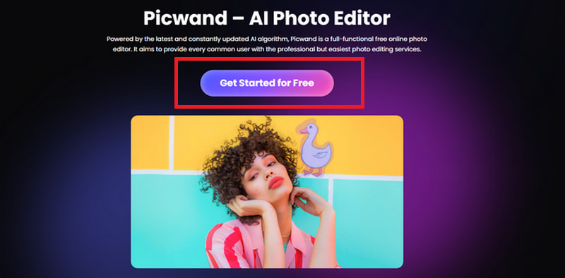 Get Started in Picwand