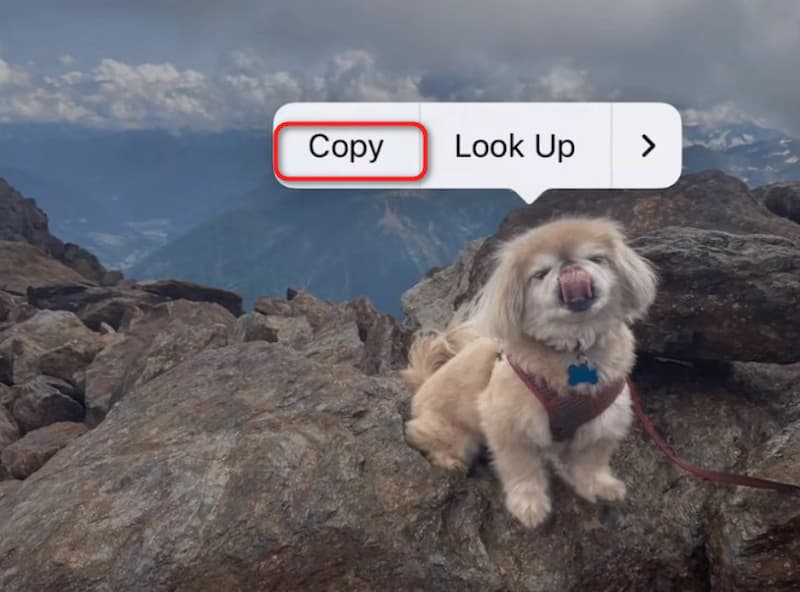 Hold And Copy