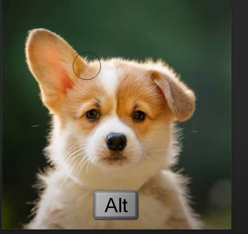Hold The Alt