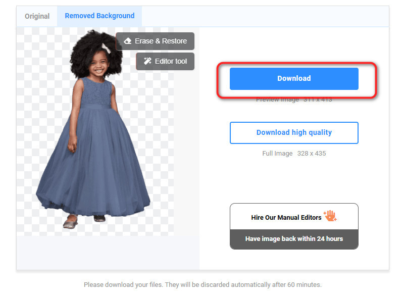 Removal AI Download