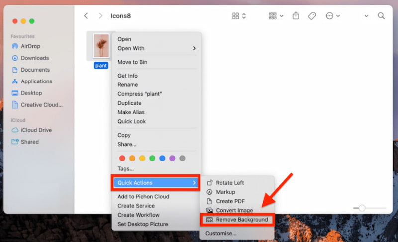 Remove Background Finder