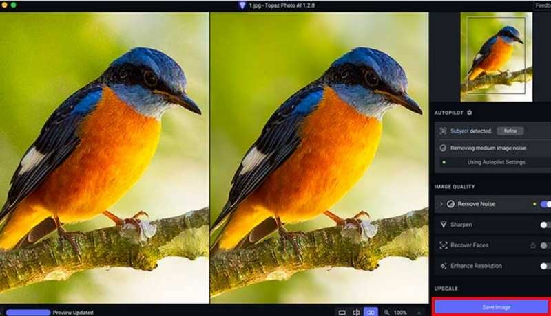 Save The Denoise Image