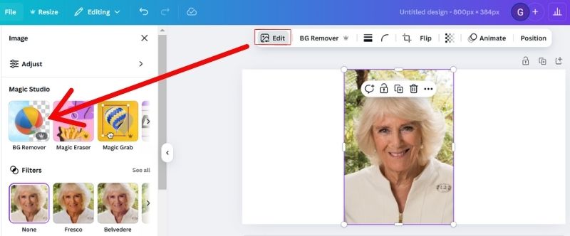 Select Bakcground Remover