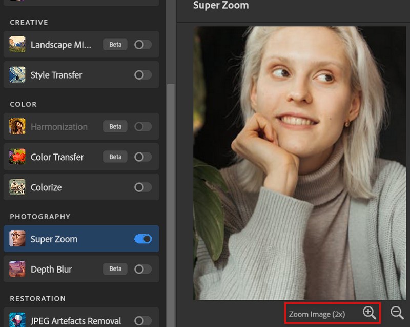 Zoom Image