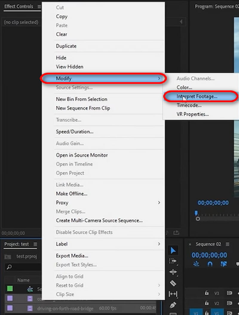 Adobe Interpret Footage