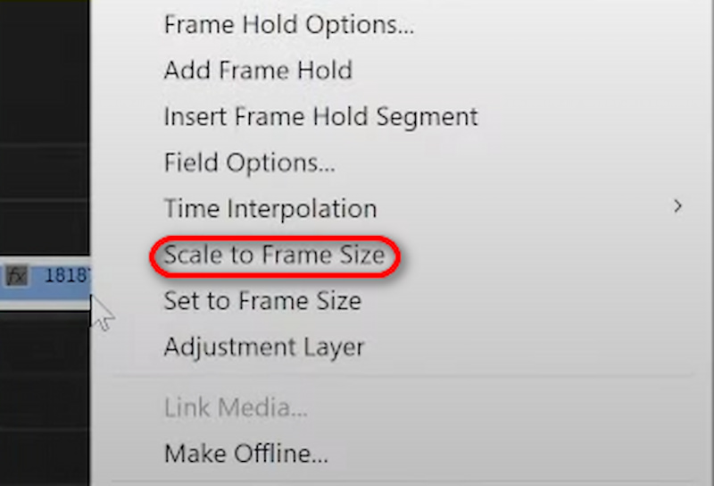 Adobe Scale To Frame Size