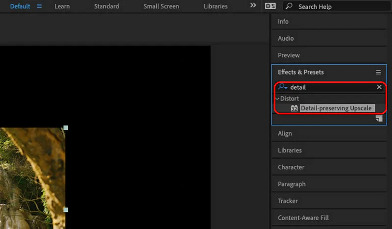 Adobe Upscale