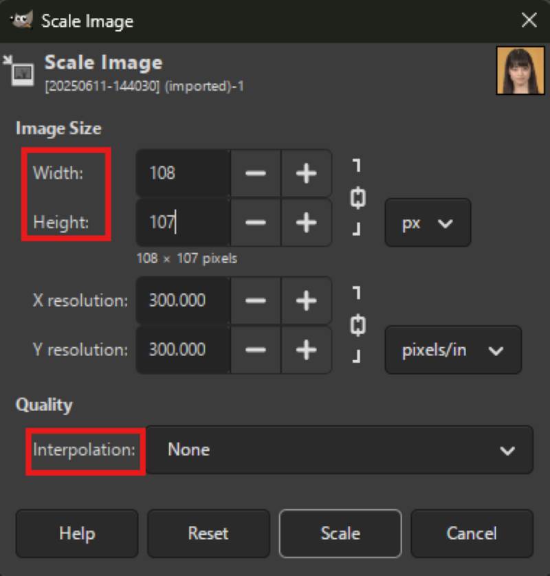 Gimp Downscale Parameter