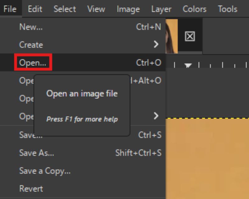Gimp Import