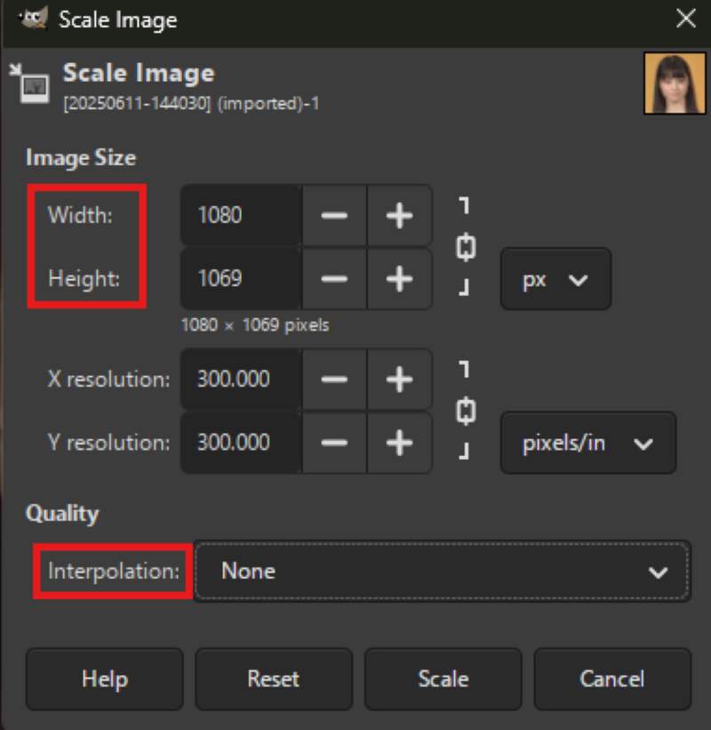 Gimp Upscale Parameter