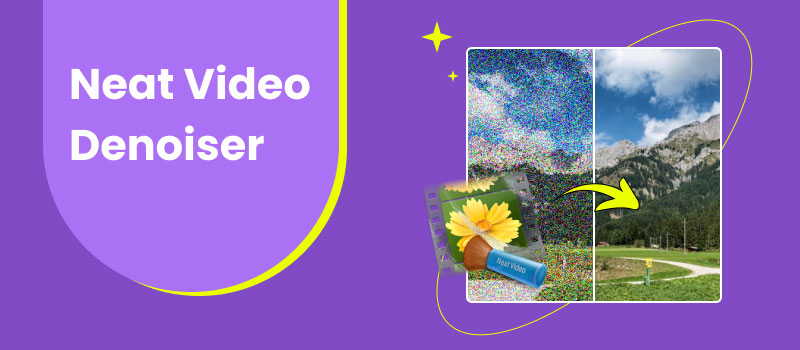 Neat Video Denoiser