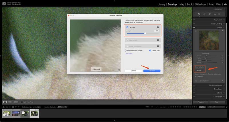 Noise Reduction In Lightroom Denoise Preview