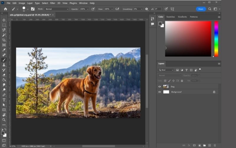 Photoshop Color Correction