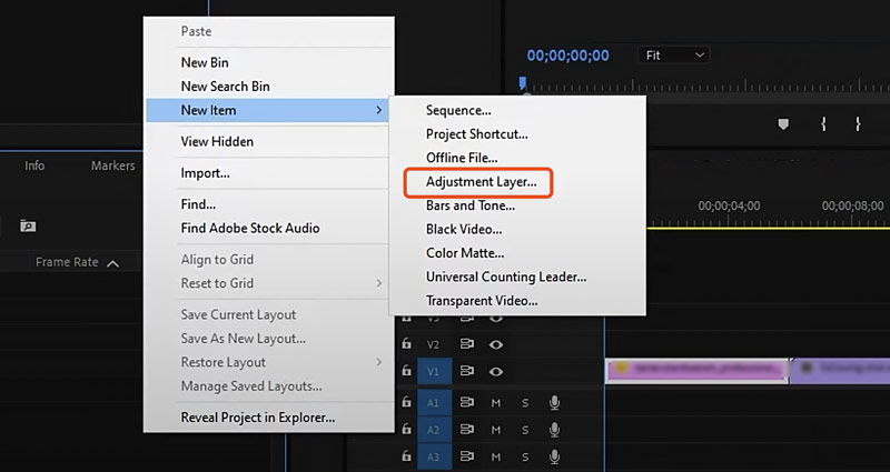 Adjustment Layer IN Adobe Premiere