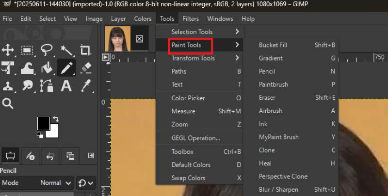 Gimp Paint Tool