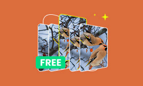 Live Frame Interpolation Free