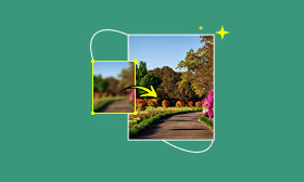 Enhance Landscape
